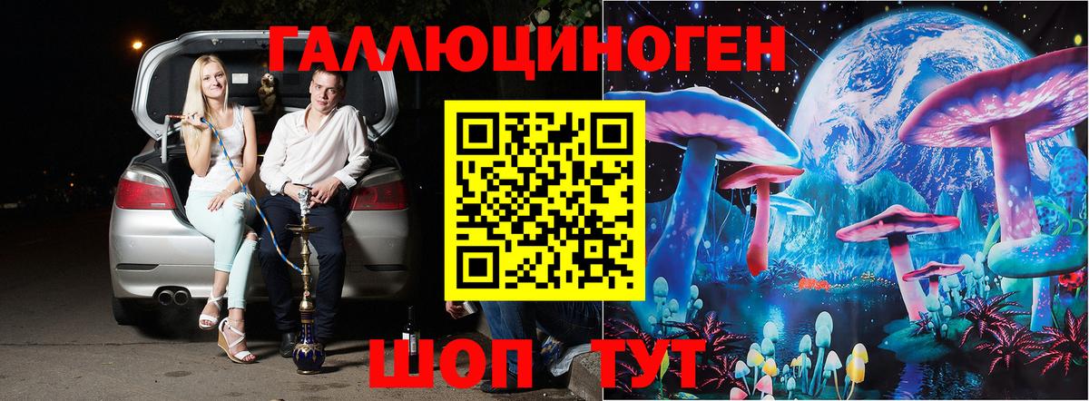 Псилоцибиновые грибы Psilocybine cubensis  Вход с VPN  Кандалакша 